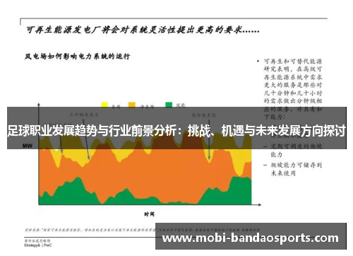 足球职业发展趋势与行业前景分析：挑战、机遇与未来发展方向探讨