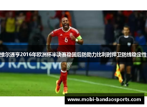 维尔通亨2016年欧洲杯半决赛稳固后防助力比利时捍卫防线稳定性