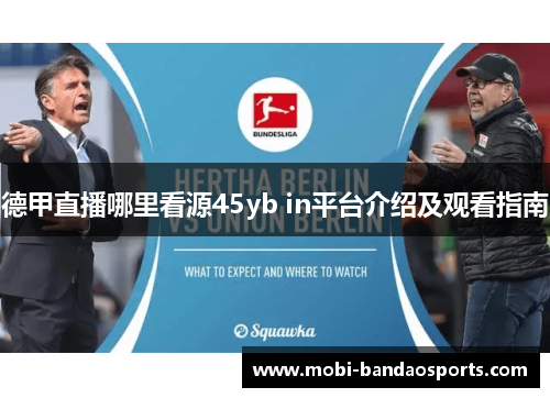 德甲直播哪里看源45yb in平台介绍及观看指南