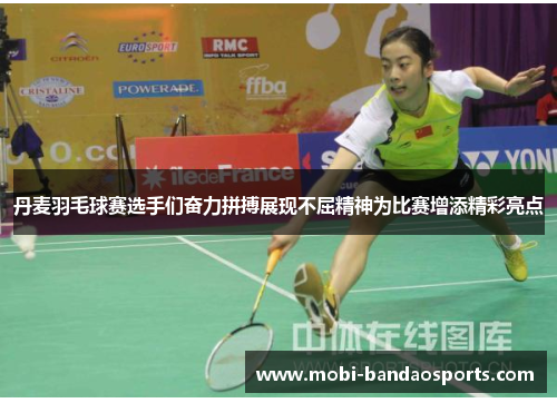 丹麦羽毛球赛选手们奋力拼搏展现不屈精神为比赛增添精彩亮点