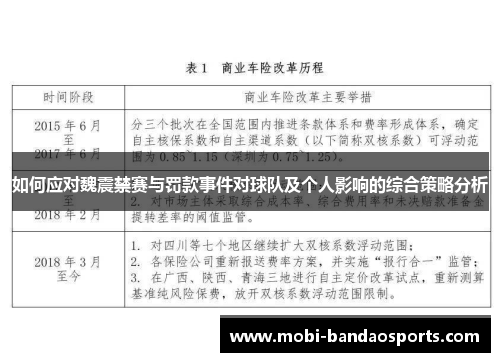 如何应对魏震禁赛与罚款事件对球队及个人影响的综合策略分析