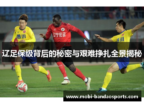 辽足保级背后的秘密与艰难挣扎全景揭秘