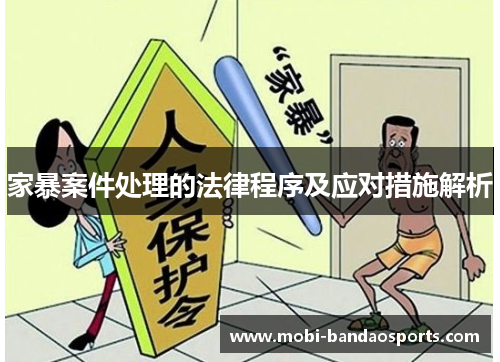 家暴案件处理的法律程序及应对措施解析