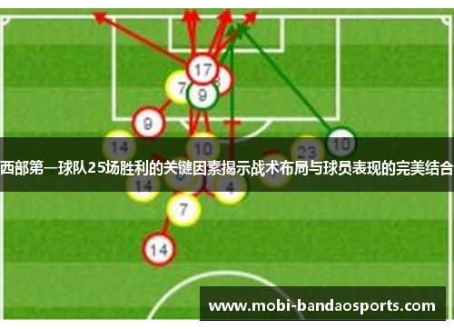 西部第一球队25场胜利的关键因素揭示战术布局与球员表现的完美结合 西部第一球队25场胜利的关键因素揭示战术布局与球员表现的完美结合