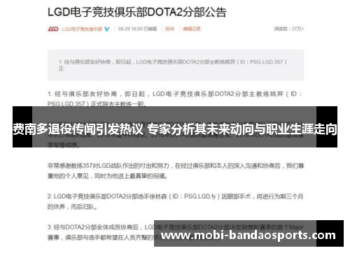 费南多退役传闻引发热议 专家分析其未来动向与职业生涯走向