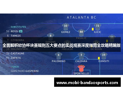 全面解析欧协杯决赛规则五大要点的实战观赛深度指南全攻略精编版 全面解析欧协杯决赛规则五大要点的实战观赛深度指南全攻略精编版