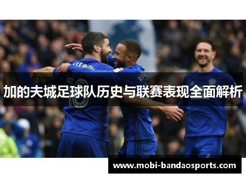 加的夫城足球队历史与联赛表现全面解析