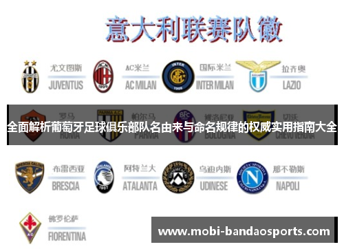 全面解析葡萄牙足球俱乐部队名由来与命名规律的权威实用指南大全