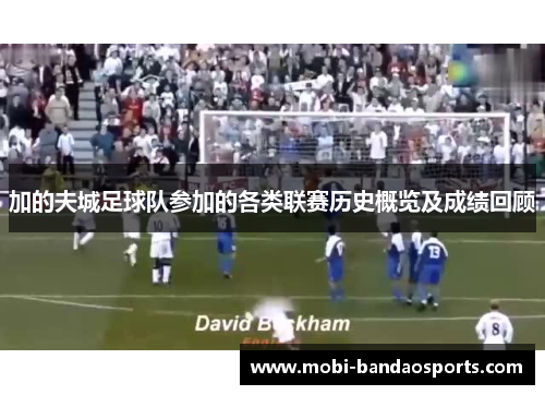 加的夫城足球队参加的各类联赛历史概览及成绩回顾