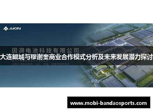 大连鲲城与穆谢奎商业合作模式分析及未来发展潜力探讨 大连鲲城与穆谢奎商业合作模式分析及未来发展潜力探讨