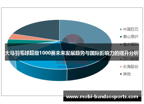 大马羽毛球超级1000赛未来发展趋势与国际影响力的提升分析