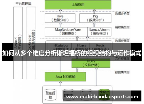 如何从多个维度分析斯坦福桥的组织结构与运作模式