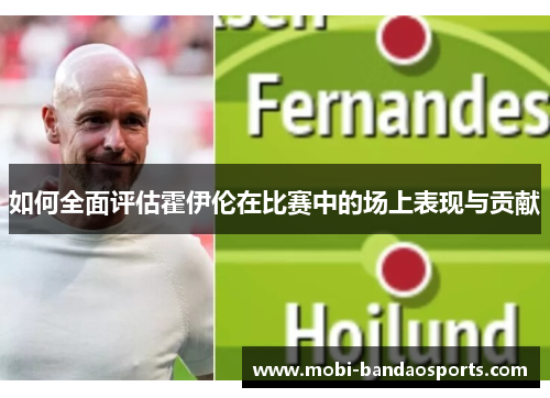 如何全面评估霍伊伦在比赛中的场上表现与贡献