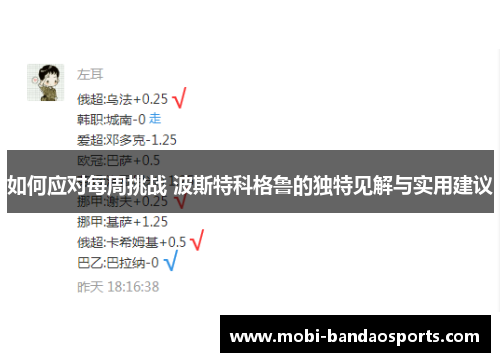 如何应对每周挑战 波斯特科格鲁的独特见解与实用建议