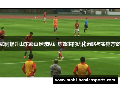 如何提升山东泰山足球队训练效率的优化策略与实施方案