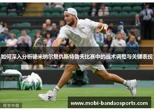 如何深入分析德米纳尔复仇斯特鲁夫比赛中的战术调整与关键表现 如何深入分析德米纳尔复仇斯特鲁夫比赛中的战术调整与关键表现