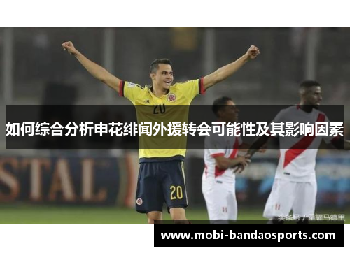 如何综合分析申花绯闻外援转会可能性及其影响因素 如何综合分析申花绯闻外援转会可能性及其影响因素