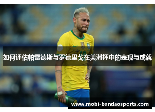 如何评估帕雷德斯与罗德里戈在美洲杯中的表现与成就
