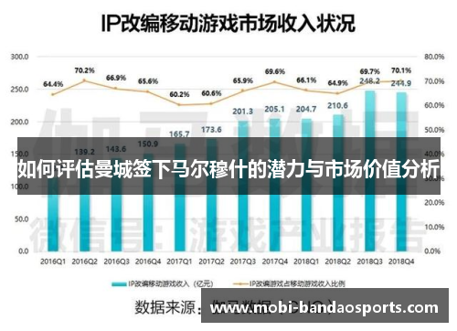 如何评估曼城签下马尔穆什的潜力与市场价值分析