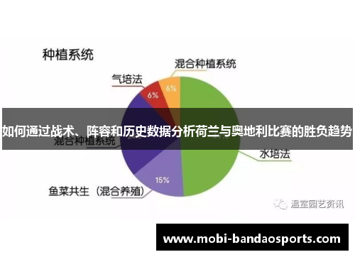如何通过战术、阵容和历史数据分析荷兰与奥地利比赛的胜负趋势 如何通过战术、阵容和历史数据分析荷兰与奥地利比赛的胜负趋势