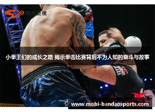 小拳王们的成长之路 揭示拳击比赛背后不为人知的奋斗与故事