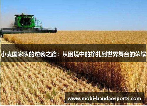 小麦国家队的逆袭之路：从困境中的挣扎到世界舞台的荣耀