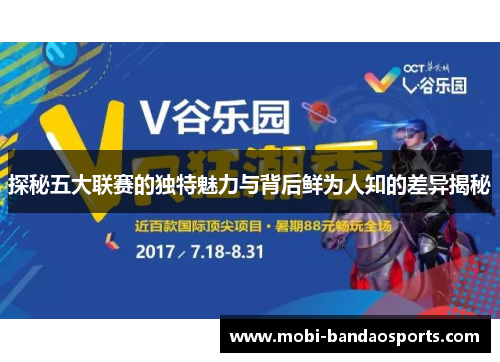 探秘五大联赛的独特魅力与背后鲜为人知的差异揭秘